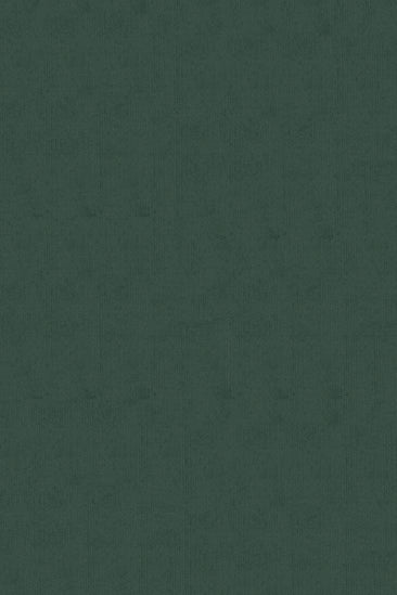 TAPETE VERDE MILITAR 40X26CM