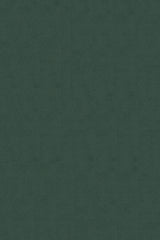 TAPETE VERDE MILITAR 40X26CM